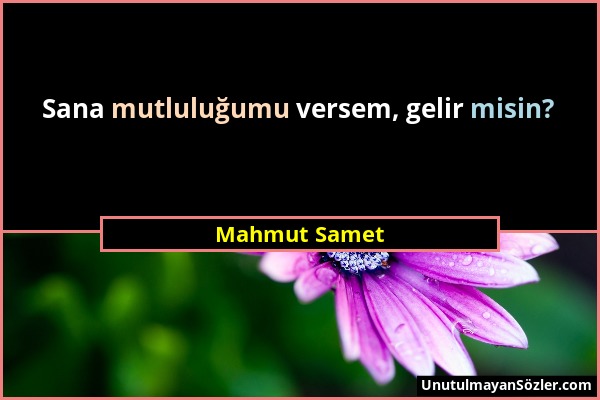 Mahmut Samet - Sana mutluluğumu versem, gelir misin?...