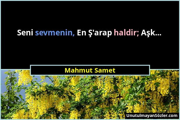 Mahmut Samet - Seni sevmenin, En Ş'arap haldir; Aşk......