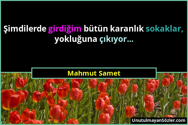 Mahmut Samet - Şimdilerde girdiğim bütün karanlık sokaklar, yokluğuna çıkıyor......