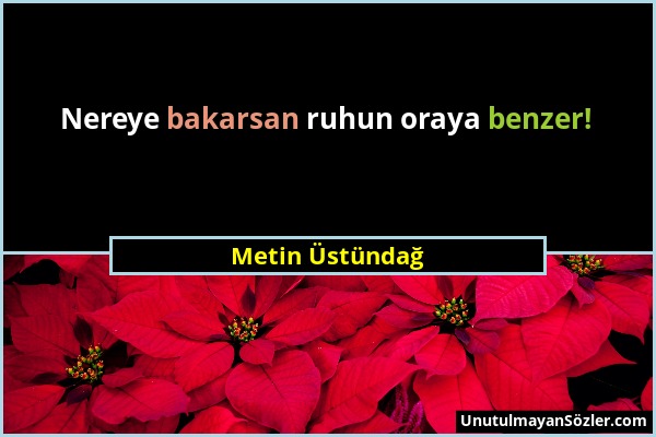 Metin Üstündağ - Nereye bakarsan ruhun oraya benzer!...