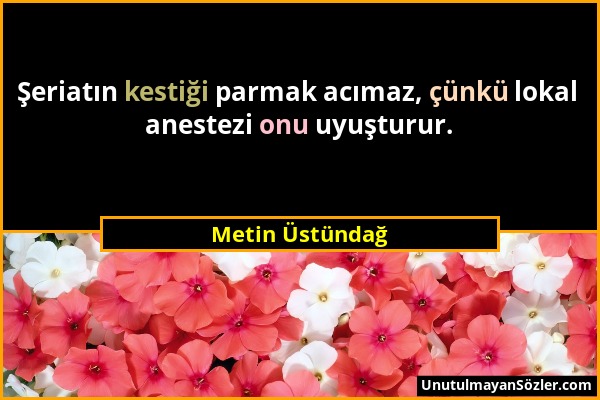 Metin Üstündağ - Şeriatın kestiği parmak acımaz, çünkü lokal anestezi onu uyuşturur....