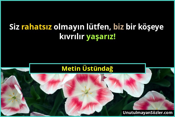 Metin Üstündağ - Siz rahatsız olmayın lütfen, biz bir köşeye kıvrılır yaşarız!...