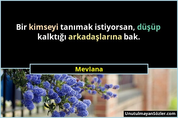 Mevlana - Bir kimseyi tanımak istiyorsan, düşüp kalktığı arkadaşlarına bak....