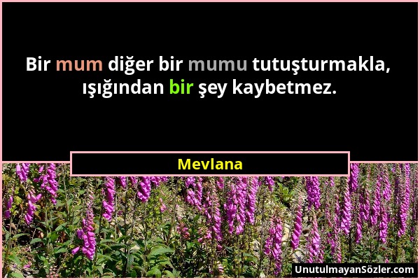 Mevlana - Bir mum diğer bir mumu tutuşturmakla, ışığından bir şey kaybetmez....