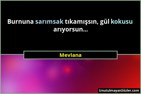 Mevlana - Burnuna sarımsak tıkamışsın, gül kokusu arıyorsun......