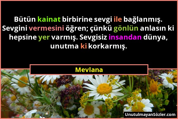 Mevlana - Bütün kainat birbirine sevgi ile bağlanmış. Sevgini vermesini öğren; çünkü gönlün anlasın ki hepsine yer varmış. Sevgisiz insandan dünya, un...