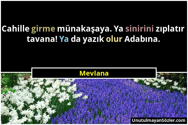 Mevlana - Cahille girme münakaşaya. Ya sinirini zıplatır tavana! Ya da yazık olur Adabına....