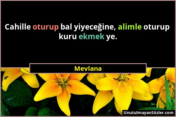 Mevlana - Cahille oturup bal yiyeceğine, alimle oturup kuru ekmek ye....