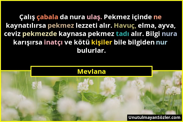 Mevlana - Çalış çabala da nura ulaş. Pekmez içinde ne kaynatılırsa pekmez lezzeti alır. Havuç, elma, ayva, ceviz pekmezde kaynasa pekmez tadı alır. Bi...