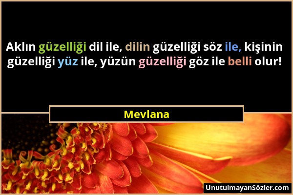 Mevlana - Aklın güzelliği dil ile, dilin güzelliği söz ile, kişinin güzelliği yüz ile, yüzün güzelliği göz ile belli olur!...