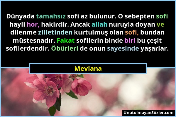 Mevlana - Dünyada tamahsız sofi az bulunur. O sebepten sofi hayli hor, hakirdir. Ancak allah nuruyla doyan ve dilenme zilletinden kurtulmuş olan sofi,...