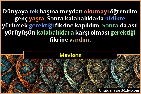 Mevlana - Dünyaya tek başına meydan okumayı öğrendim genç yaşta. Sonra kalabalıklarla birlikte yürümek gerektiği fikrine kapıldım. Sonra da asıl yürüy...