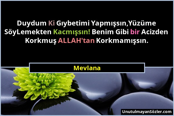 Mevlana - Duydum Ki Gıybetimi Yapmışsın,Yüzüme SöyLemekten Kacmışsın! Benim Gibi bir Acizden Korkmuş ALLAH'tan Korkmamışsın....