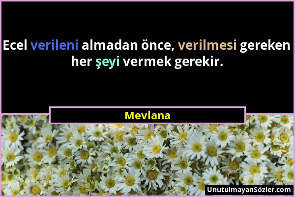 Mevlana - Ecel verileni almadan önce, verilmesi gereken her şeyi vermek gerekir....