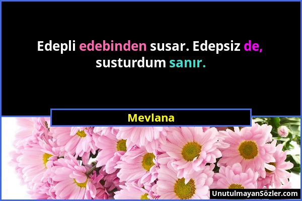 Mevlana - Edepli edebinden susar. Edepsiz de, susturdum sanır....