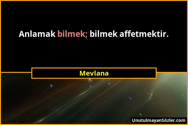 Mevlana - Anlamak bilmek; bilmek affetmektir....