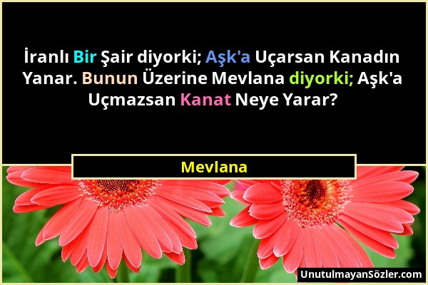 Mevlana - İranlı Bir Şair diyorki; Aşk'a Uçarsan Kanadın Yanar. Bunun Üzerine Mevlana diyorki; Aşk'a Uçmazsan Kanat Neye Yarar?...