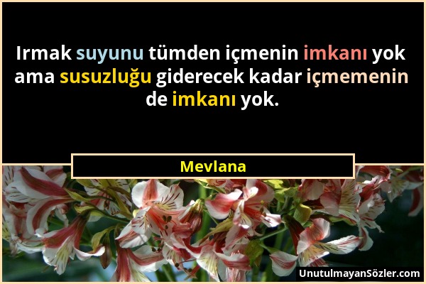 Mevlana - Irmak suyunu tümden içmenin imkanı yok ama susuzluğu giderecek kadar içmemenin de imkanı yok....