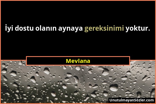 Mevlana - İyi dostu olanın aynaya gereksinimi yoktur....