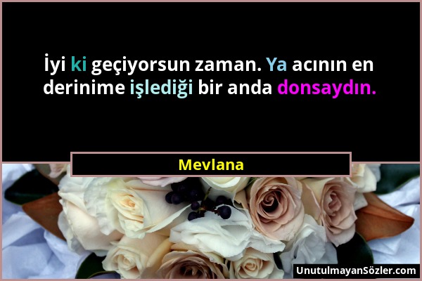 Mevlana - İyi ki geçiyorsun zaman. Ya acının en derinime işlediği bir anda donsaydın....