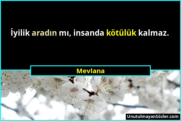 Mevlana - İyilik aradın mı, insanda kötülük kalmaz....