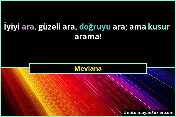 Mevlana - İyiyi ara, güzeli ara, doğruyu ara; ama kusur arama!...