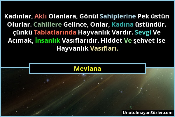 Mevlana - Kadınlar, Aklı Olanlara, Gönül Sahiplerine Pek üstün Olurlar. Cahillere Gelince, Onlar, Kadına üstündür. çünkü Tabiatlarında Hayvanlık Vardı...