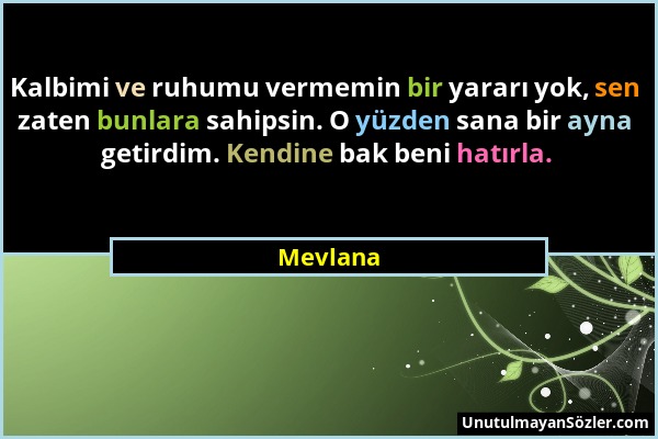 Mevlana - Kalbimi ve ruhumu vermemin bir yararı yok, sen zaten bunlara sahipsin. O yüzden sana bir ayna getirdim. Kendine bak beni hatırla....