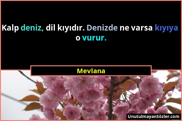 Mevlana - Kalp deniz, dil kıyıdır. Denizde ne varsa kıyıya o vurur....