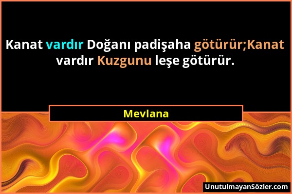 Mevlana - Kanat vardır Doğanı padişaha götürür;Kanat vardır Kuzgunu leşe götürür....