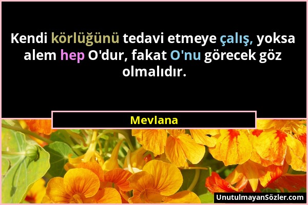 Mevlana - Kendi körlüğünü tedavi etmeye çalış, yoksa alem hep O'dur, fakat O'nu görecek göz olmalıdır....