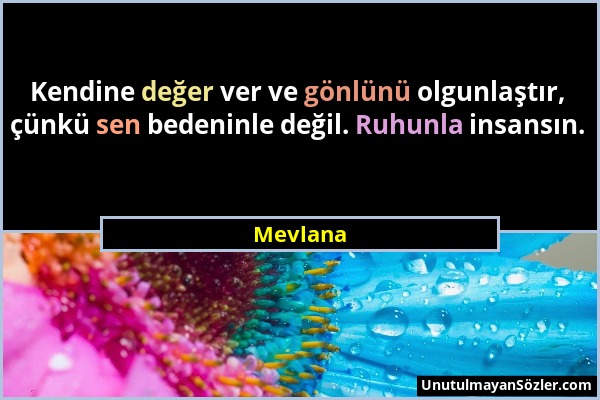 Mevlana - Kendine değer ver ve gönlünü olgunlaştır, çünkü sen bedeninle değil. Ruhunla insansın....