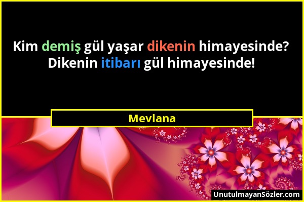 Mevlana - Kim demiş gül yaşar dikenin himayesinde? Dikenin itibarı gül himayesinde!...