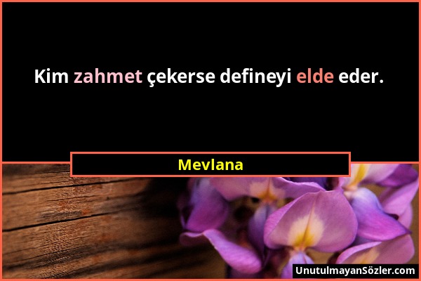 Mevlana - Kim zahmet çekerse defineyi elde eder....