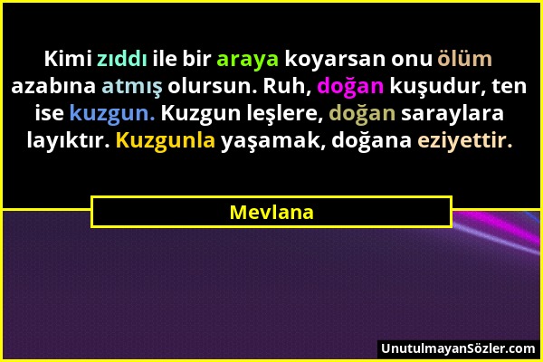 Mevlana - Kimi zıddı ile bir araya koyarsan onu ölüm azabına atmış olursun. Ruh, doğan kuşudur, ten ise kuzgun. Kuzgun leşlere, doğan saraylara layıkt...