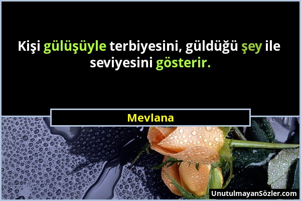 Mevlana - Kişi gülüşüyle terbiyesini, güldüğü şey ile seviyesini gösterir....