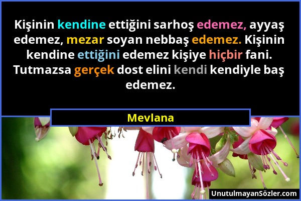 Mevlana - Kişinin kendine ettiğini sarhoş edemez, ayyaş edemez, mezar soyan nebbaş edemez. Kişinin kendine ettiğini edemez kişiye hiçbir fani. Tutmazs...