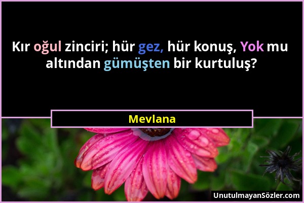 Mevlana - Kır oğul zinciri; hür gez, hür konuş, Yok mu altından gümüşten bir kurtuluş?...