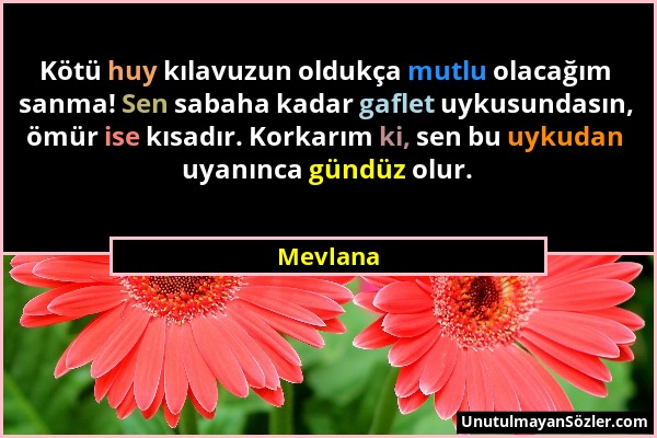 Mevlana - Kötü huy kılavuzun oldukça mutlu olacağım sanma! Sen sabaha kadar gaflet uykusundasın, ömür ise kısadır. Korkarım ki, sen bu uykudan uyanınc...