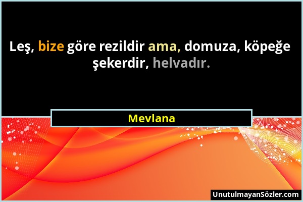 Mevlana - Leş, bize göre rezildir ama, domuza, köpeğe şekerdir, helvadır....