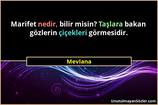 Mevlana - Marifet nedir, bilir misin? Taşlara bakan gözlerin çiçekleri görmesidir....