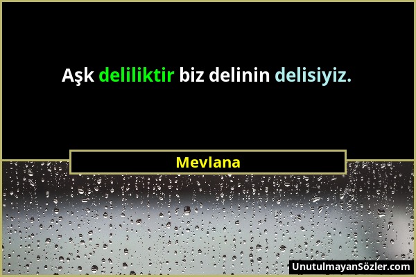 Mevlana - Aşk deliliktir biz delinin delisiyiz....