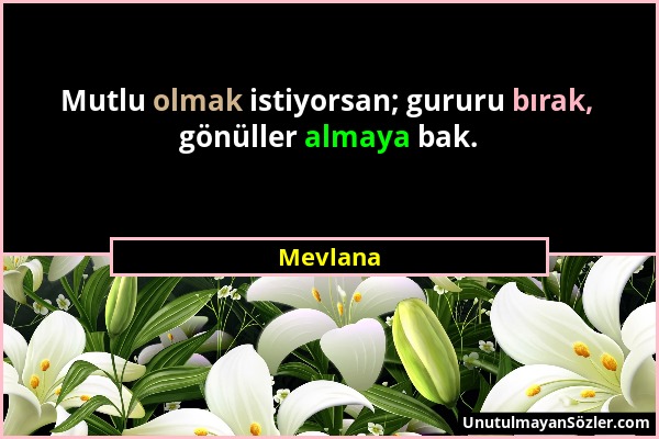 Mevlana - Mutlu olmak istiyorsan; gururu bırak, gönüller almaya bak....