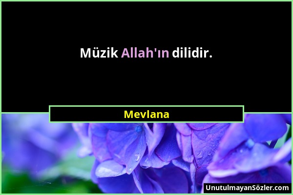 Mevlana - Müzik Allah'ın dilidir....