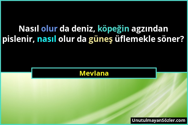 Mevlana - Nasıl olur da deniz, köpeğin agzından pislenir, nasıl olur da güneş üflemekle söner?...