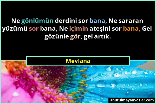 Mevlana - Ne gönlümün derdini sor bana, Ne sararan yüzümü sor bana, Ne içimin ateşini sor bana, Gel gözünle gör, gel artık....