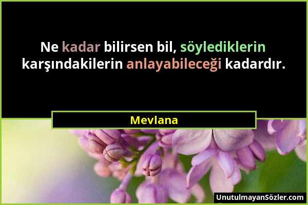 Mevlana - Ne kadar bilirsen bil, söylediklerin karşındakilerin anlayabileceği kadardır....