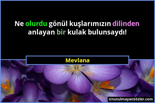 Mevlana - Ne olurdu gönül kuşlarımızın dilinden anlayan bir kulak bulunsaydı!...