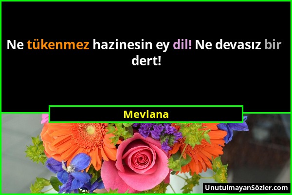 Mevlana - Ne tükenmez hazinesin ey dil! Ne devasız bir dert!...