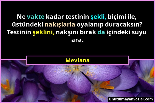 Mevlana - Ne vakte kadar testinin şekli, biçimi ile, üstündeki nakışlarla oyalanıp duracaksın? Testinin şeklini, nakşını bırak da içindeki suyu ara....